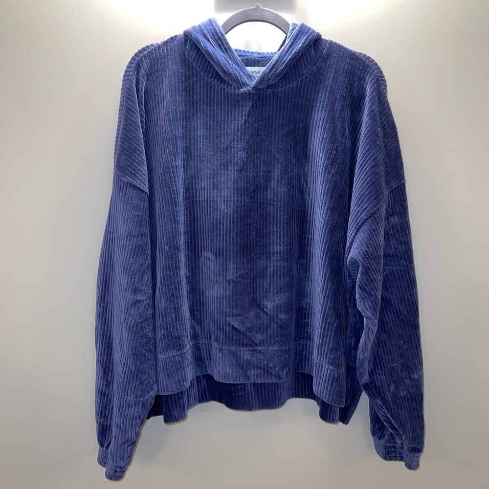 Aerie Sweatshirt / Hoodie